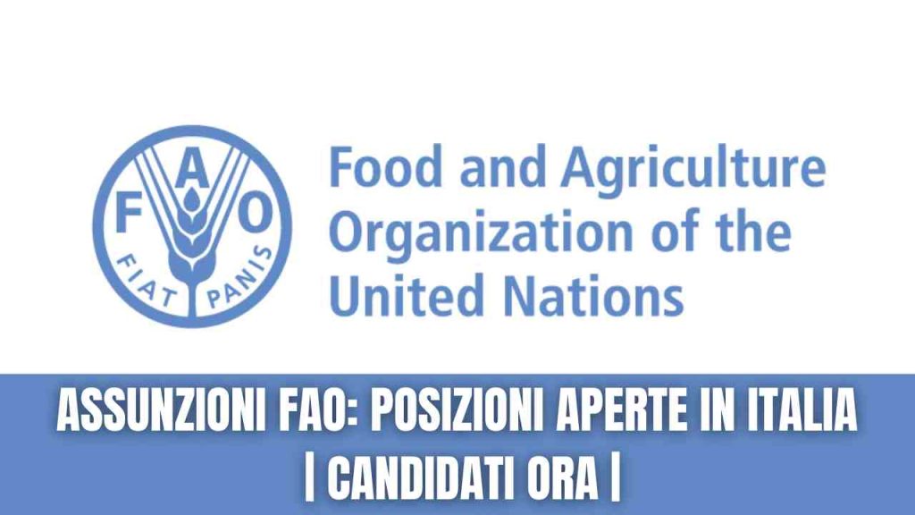 FAO Assunzioni