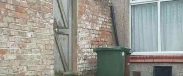 Illusione ottica, trova il gatto