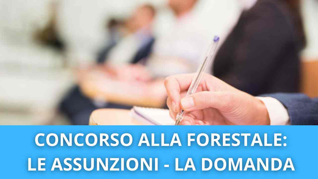Concorso alla Forestale Assunzioni di operai INVIA ORA LA DOMANDA Younipa Università