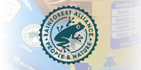 Logo con la rana (rainforest alliance)