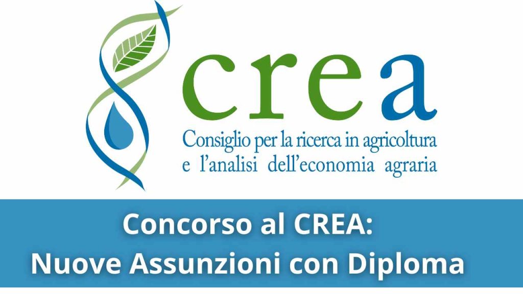 Concorso al Crea