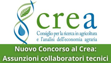 Crea