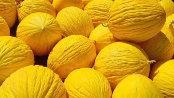Melone della Sicilia