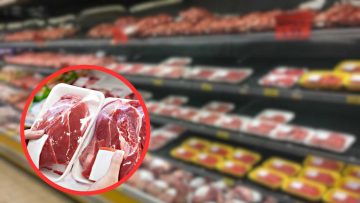 Carne ritirata