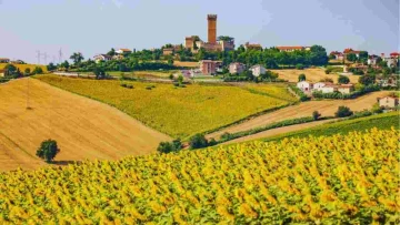 borgo