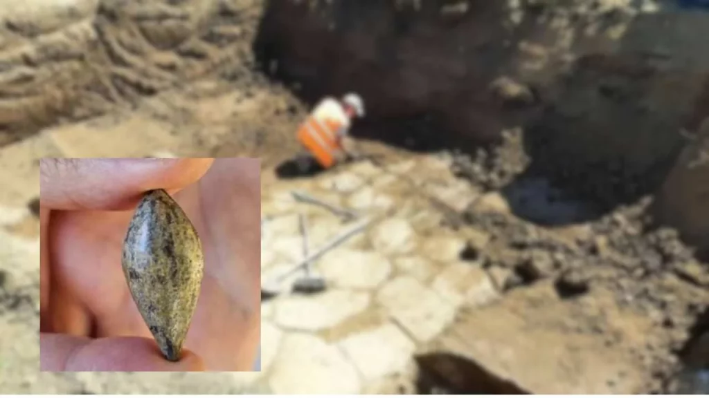 Archeologi fanno una rara scoperta durante degli scavi in un tumulo antico, è di 3.400 anni fa ma è...