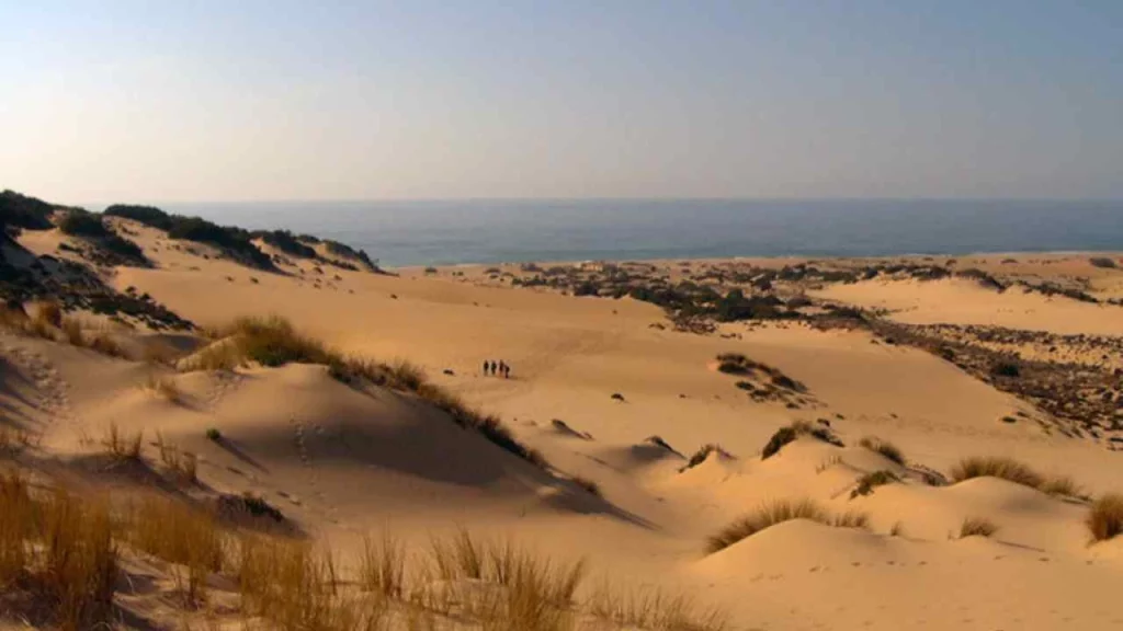 Piccolo Sahara Italiano