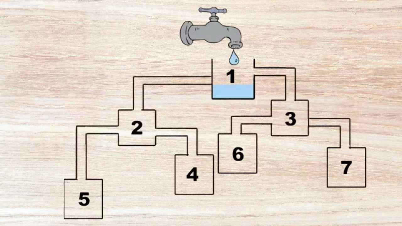TEST QI