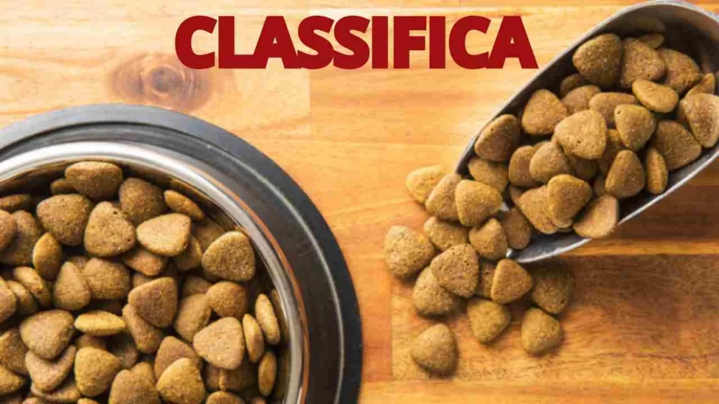 Migliori crocchette per cani