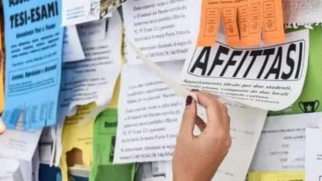Affitti università
