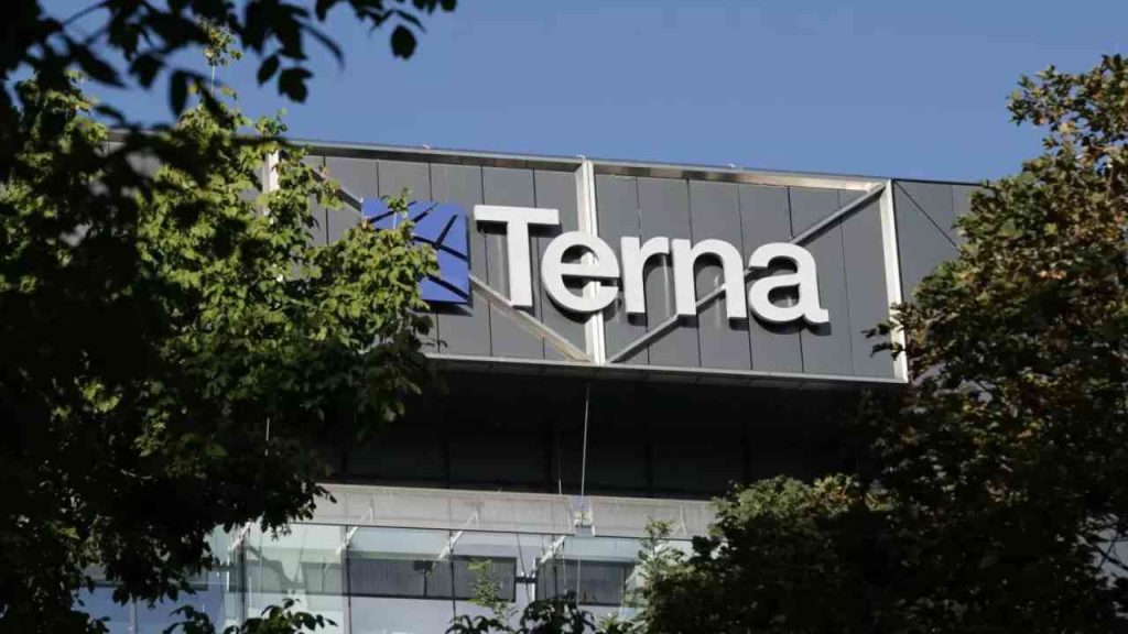 Assunzioni Terna
