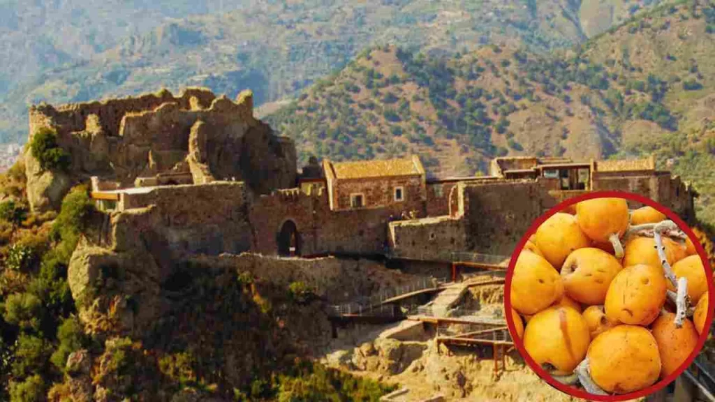 borgo siciliano nespole