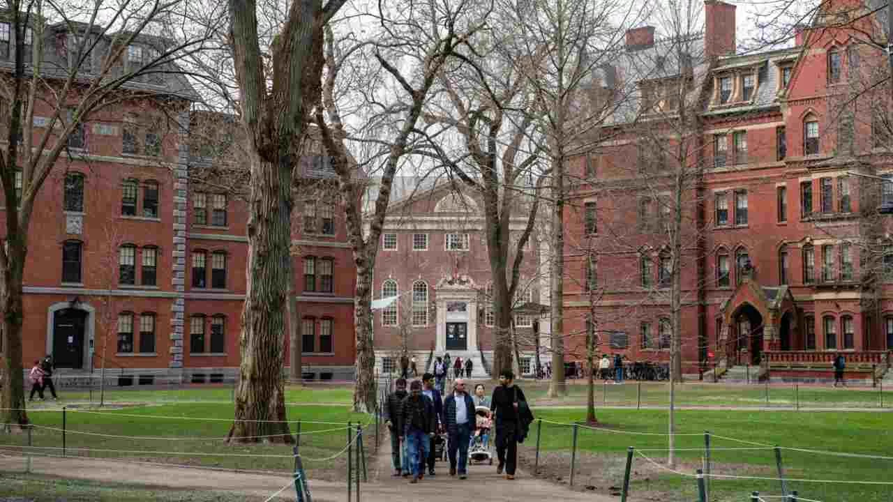 Harvard