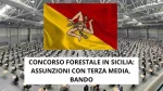 CONCORSO FORESTALE