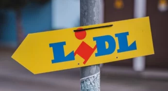 LIDL | L’elettrodomestico 3 in 1 costa solo 19,99 euro e fa tutto – L’offerta è limitata, Clienti in fila alle casse