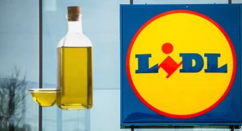 Olio extravergine della Lidl | Costa poco ma è di altissima qualità: ecco chi lo produce davvero