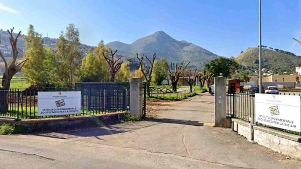 Un'importante opportunità di lavoro nel settore pubblico bussa alle porte della Sicilia con il...
