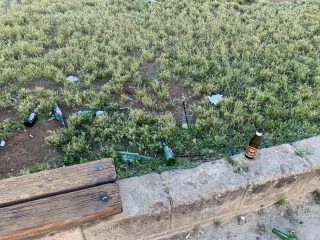 Non c'è pace per Piazza Magione. Il parco dei palermitani, che si trova nel cuore del centro...