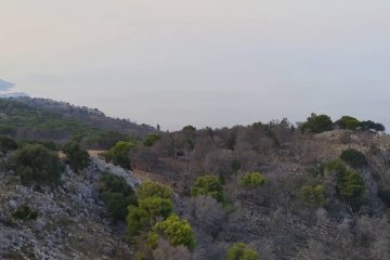 Monte Pellegrino