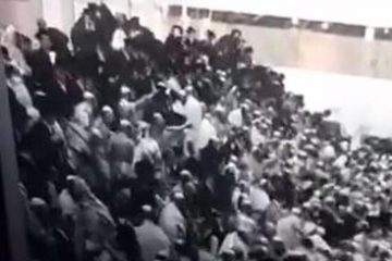 Israele