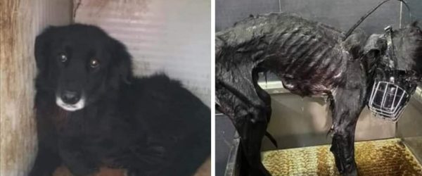 WhatsApp Image 2021-01-16 at 08.53.27