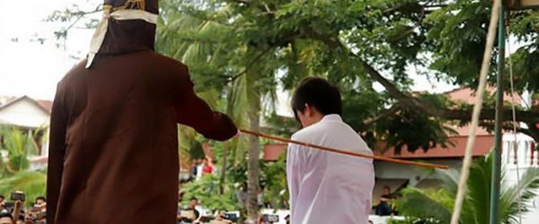 WhatsApp Image 2021-02-01 at 11.03.03