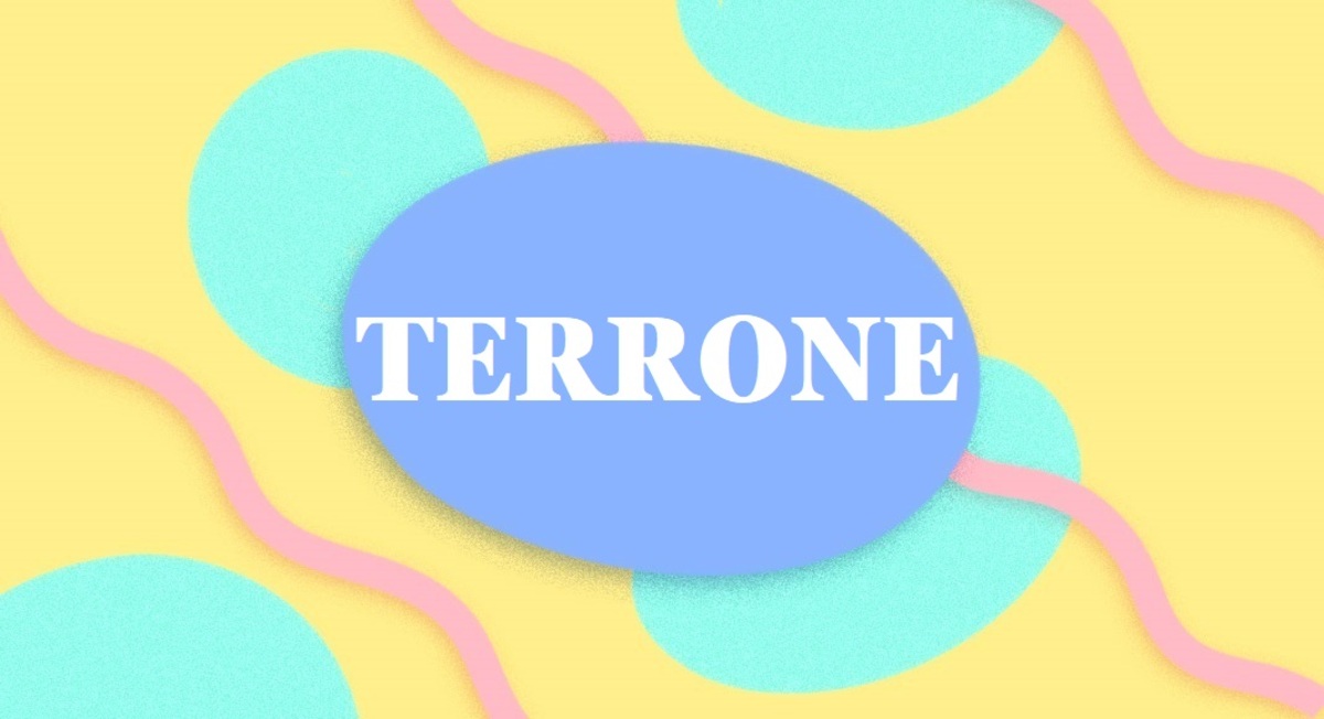 “TERRONE non è un’offesa”: l’ingegnere salernitano trascina la Crusca in tribunale
