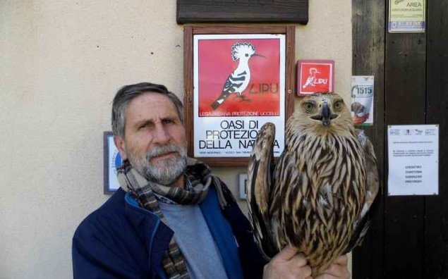 È stata liberata ieri a Portella Maganoce (Piana degli Albanesi) un'aquila imperiale curata al...