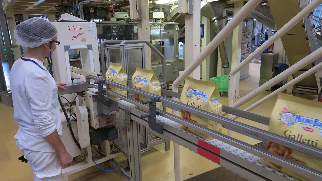 Lavora in Barilla: Il Gruppo Barilla assume nuovo personale diplomato e laureato da inserire presso...