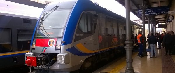 catanzaro-treno-swing1