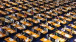 concorsi pubblici in scadenza
