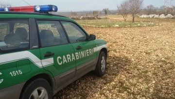 Opportunità di lavoro nel ruolo forestale dell'Arma dei carabinieri, è stato pubblicato il nuovo...