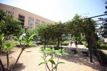 giardino di freud all'università
