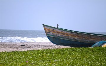 immigrazione