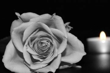 La storia di Giuseppina è una storia triste. E soprattutto non ha un lieto fine. A raccontarla è...