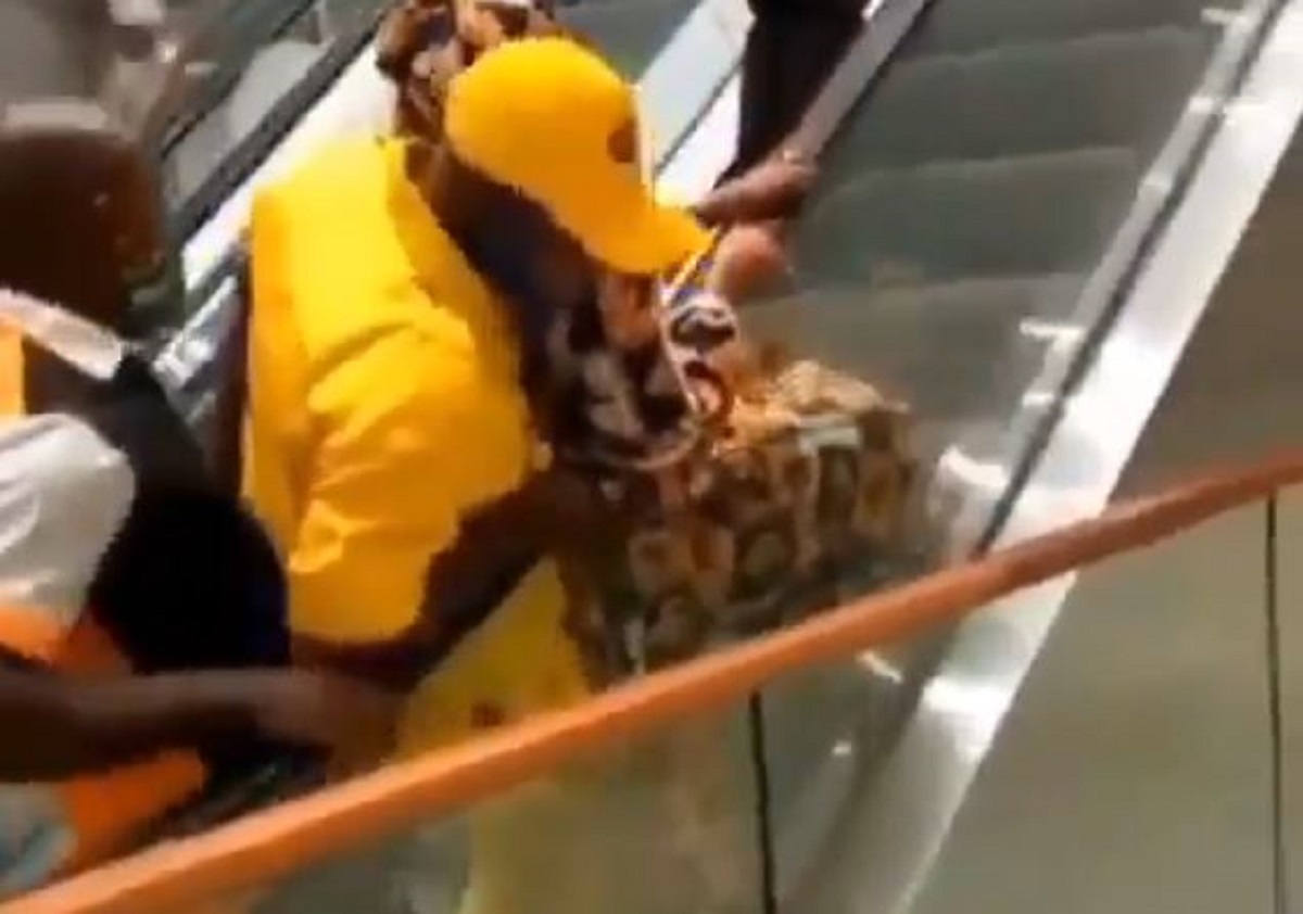 Stanno diventando virali le immagini del Grand Mall di Douala in Camerun, pubblicizzato come il più...