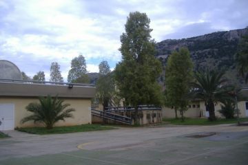 scuola-pallavicino